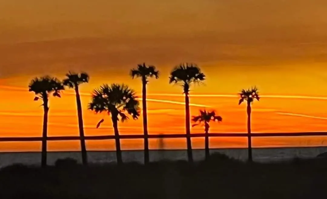 Shores Of Panama 2327 - 1 Bedroombunks And Sleeper Sofa, Sunset View! Free Fun! Condo Panama City Beach